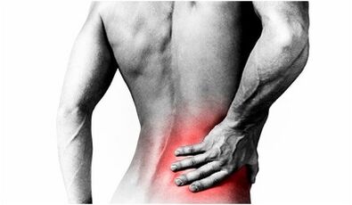 The causes of back pain in the lower back