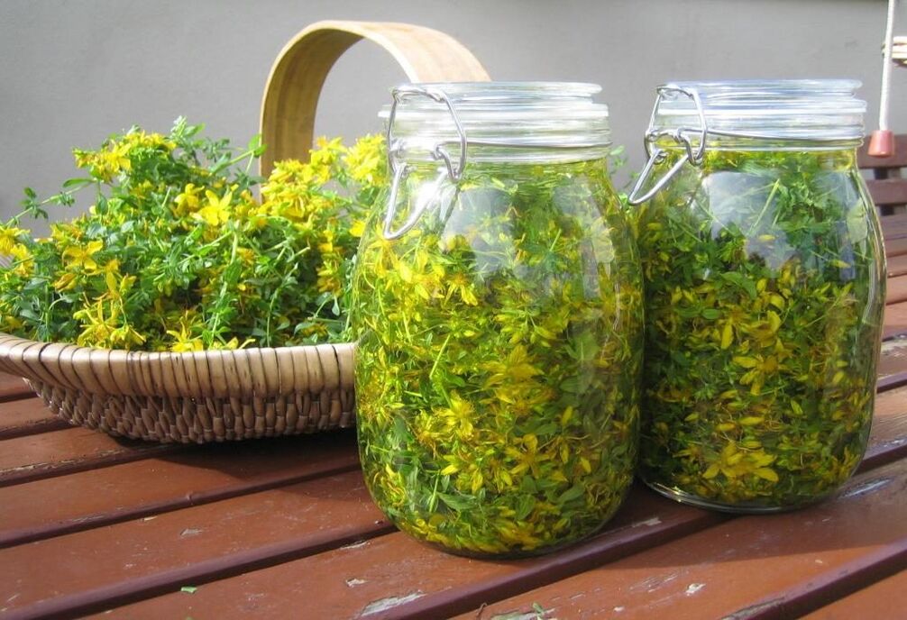 infusion of St. John's wort for cervical osteochondrosis