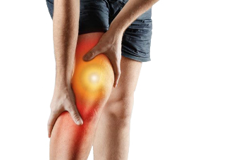 the diseases of the joints, the cartilage destruction and inflammation